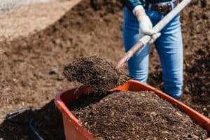 donna solleva il concime con la pala e lo mette dentro la cariola