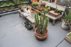 terrazzi verdi