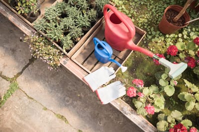 detrazione fiscale giardino