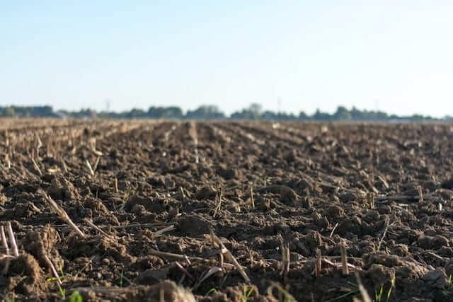 campo per la semina