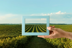 tecniche agronomiche milano